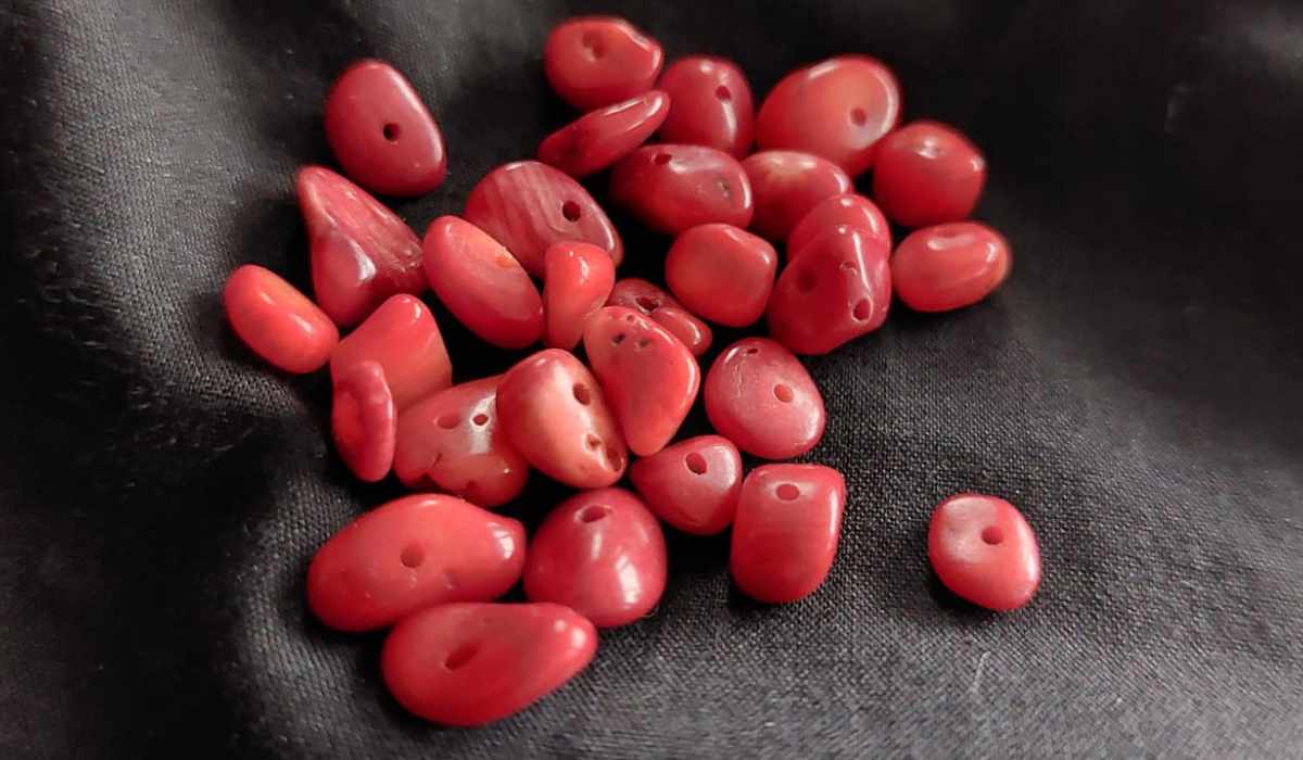 Read more about the article Rood koraal chips