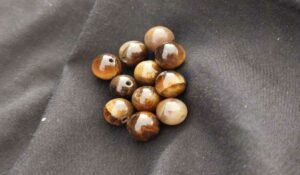 Read more about the article Tijgeroog