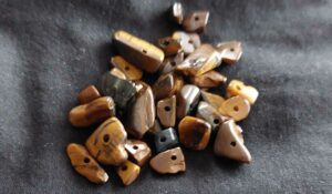 Read more about the article Tijgeroog chips